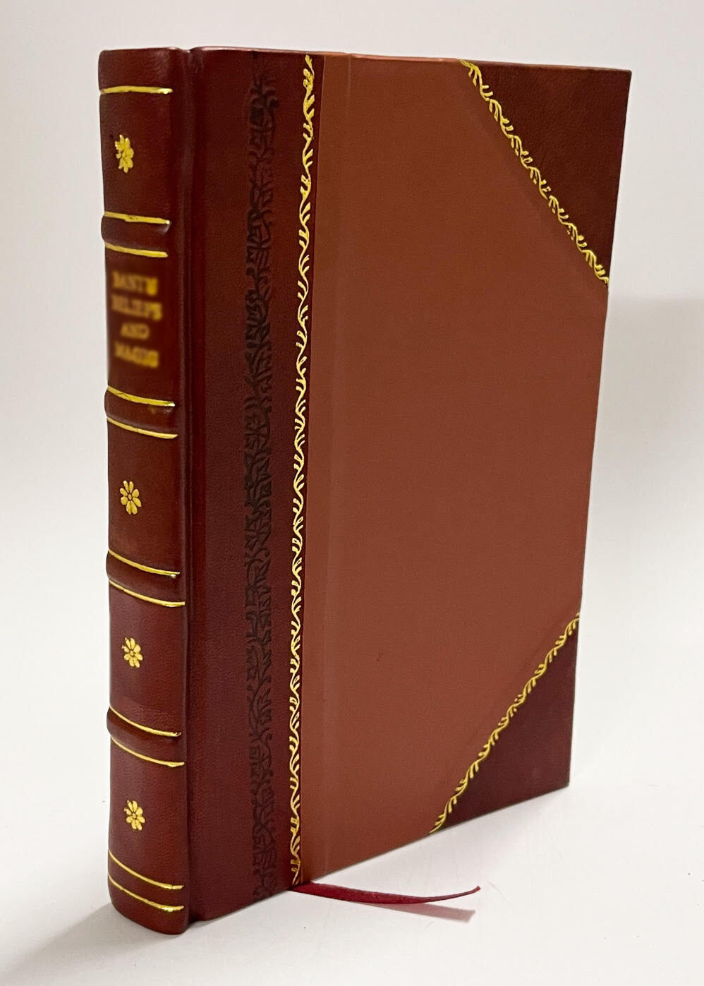 Masnavi I Ma’Navi; the Spiritual Couplets of Maulana [Leather Bound]